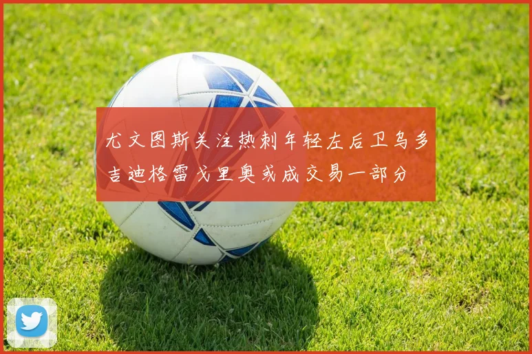 尤文图斯关注热刺年轻左后卫乌多吉迪格雷戈里奥或成交易一部分