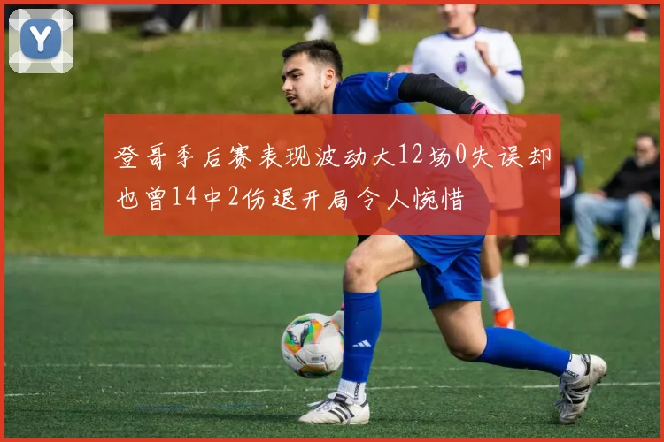 登哥季后赛表现波动大12场0失误却也曾14中2伤退开局令人惋惜